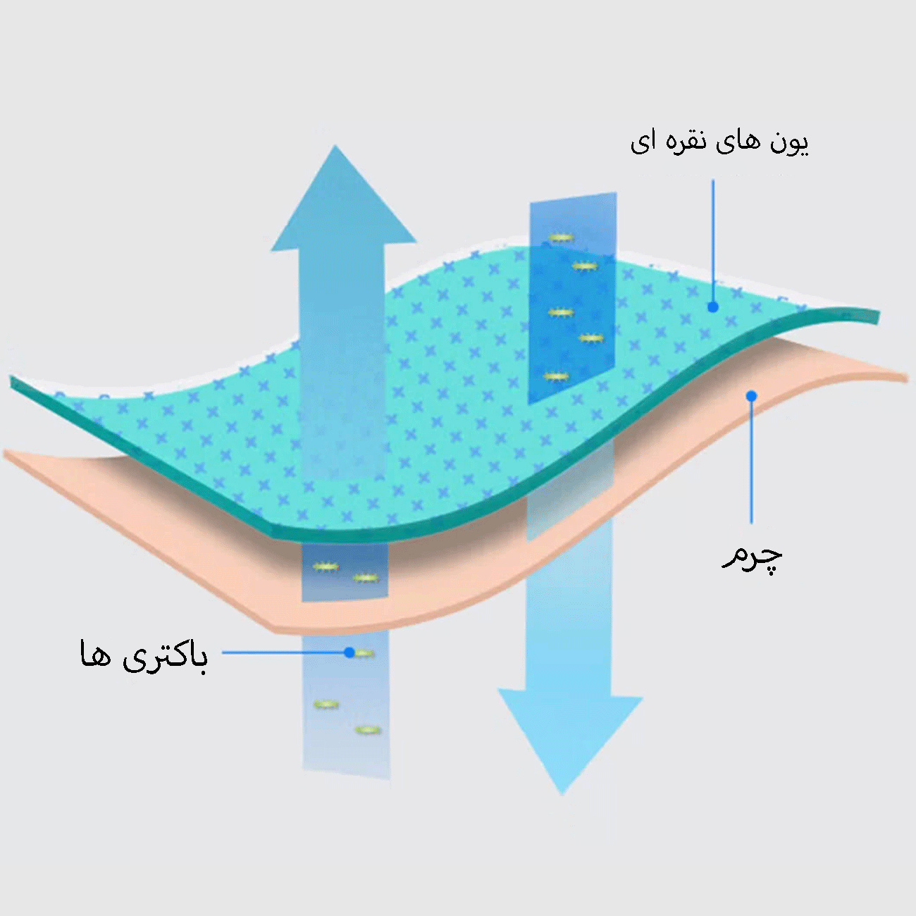 بالش طبی مموری فوم شیائومی 8H H11 Cat-touch